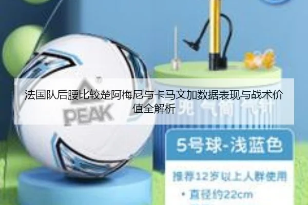 法国队后腰比较楚阿梅尼与卡马文加数据表现与战术价值全解析
